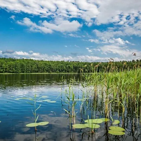 By Kl Pnicko With Pier *